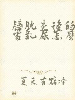 膀胱炎后的猫到处乱尿怎么办