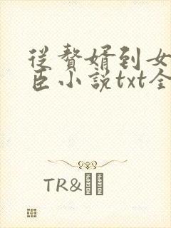 从赘婿到女帝宠臣小说txt全文下载