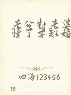 老公对老婆没感情了要离婚