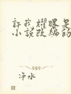 许我耀眼是什么小说改编的