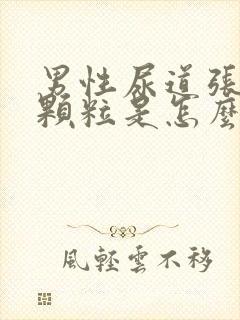 男性尿道张白色颗粒是怎么回事