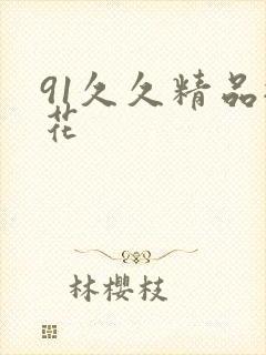 91久久精品探花