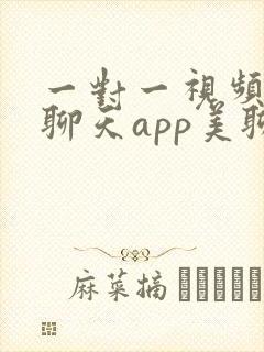 一对一视频交友聊天app美聊