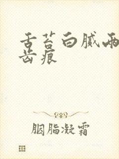 舌苔白腻两侧有齿痕