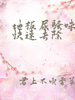 地板尿骚味怎么快速去除