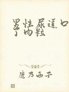 男性尿道口上长了肉粒