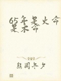 65年是火命还是木命