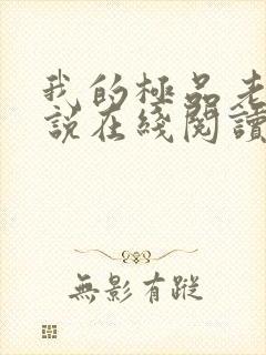 我的极品老婆小说在线阅读