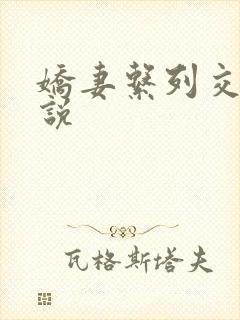 娇妻系列交换小说