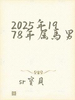 2025年1978年属马男人的全年运势