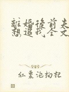 离婚后前夫总是想追我全文免费阅读