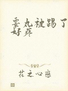 睾丸被踢了肿了好疼