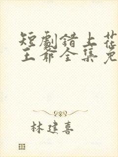 短剧错上花轿嫁王爷全集免费观看