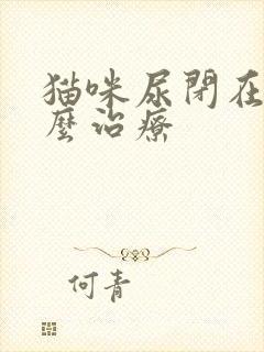 猫咪尿闭在家怎么治疗