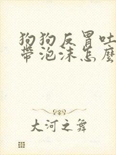 狗狗反胃吐黄水带泡沫怎么办