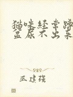 猫咪经常蹲猫砂盆尿不出来怎么回事