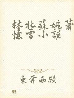 林北苏婉萧晴韩忆雪小说