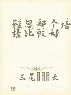 雅思哪个培训机构比较好