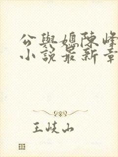 公与媳陈峰姚瑶小说最新章节阅读