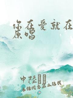 你在爱就在歌曲原唱