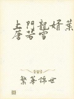 上门龙婿叶凡和唐若雪