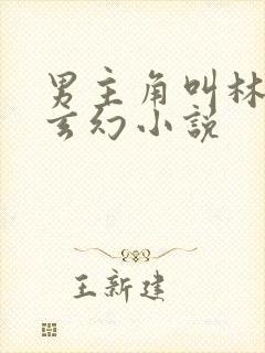 男主角叫林萧的玄幻小说