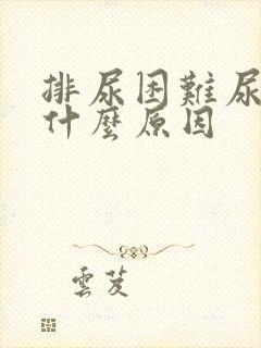 排尿困难尿频是什么原因