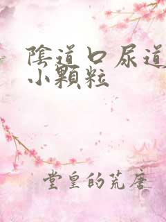 阴道口尿道口起小颗粒