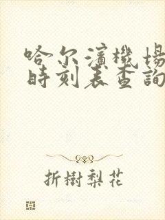 哈尔滨机场大巴时刻表查询