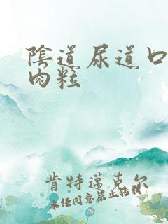 阴道尿道口长小肉粒