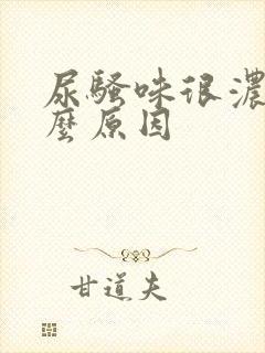 尿骚味很浓是什么原因