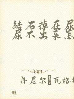 结石掉在尿道里尿不出来怎么办