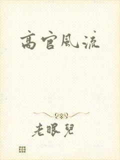 高官风流