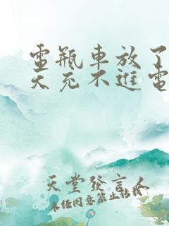 电瓶车放了一冬天充不进电怎么办