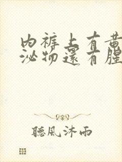 内裤上有黄色分泌物还有腥臭味道重怎么办