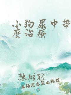 小狗尿中带血怎么治疗