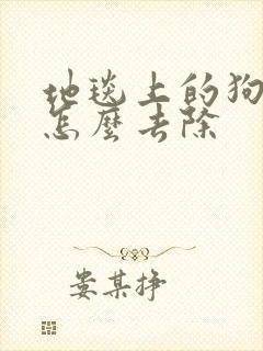 地毯上的狗尿味怎么去除