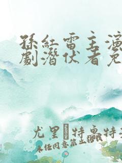 孙红雷主演电视剧潜伏者免费观看