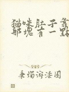 猫咪肚子靠近腿那块有一点鼓