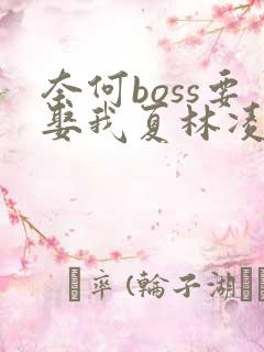 奈何boss要娶我夏林凌异洲