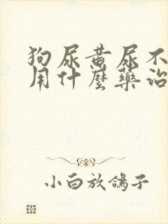 狗尿黄尿不吃食用什么药治