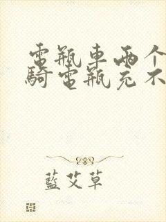 电瓶车两个月没骑电瓶充不进电了