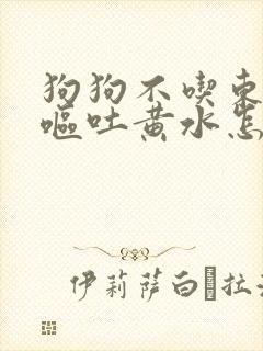 狗狗不吃东西还呕吐黄水怎么办