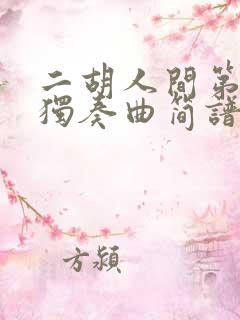 二胡人间第一情独奏曲简谱