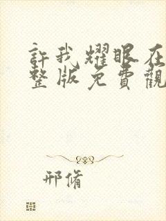 许我耀眼在线完整版免费观看电视剧