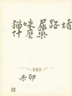 猫咪尿路堵塞吃什么药