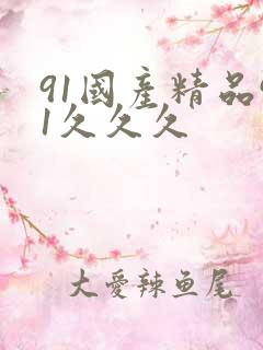 91国产精品91久久久