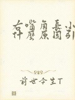 右嘴角长小泡是什么原因引起的