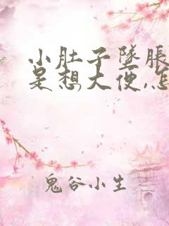 小肚子坠胀,老是想大便,怎么办啊