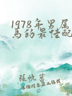 1978年男属马的最佳配偶属相